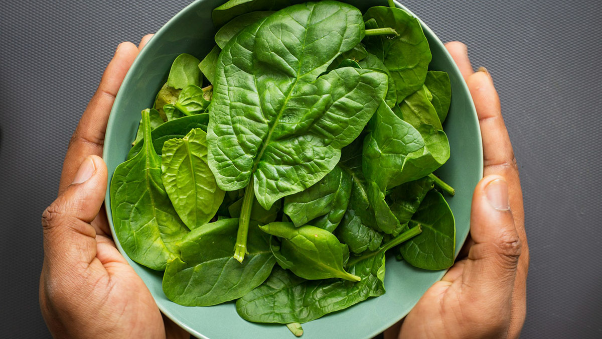Lyofood Powders EKO Spinach - 40 g - liofilizowany szpinak w proszku